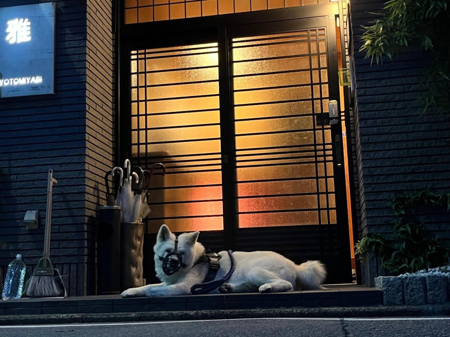 ホテル 雅 京都市 エクステリア 写真